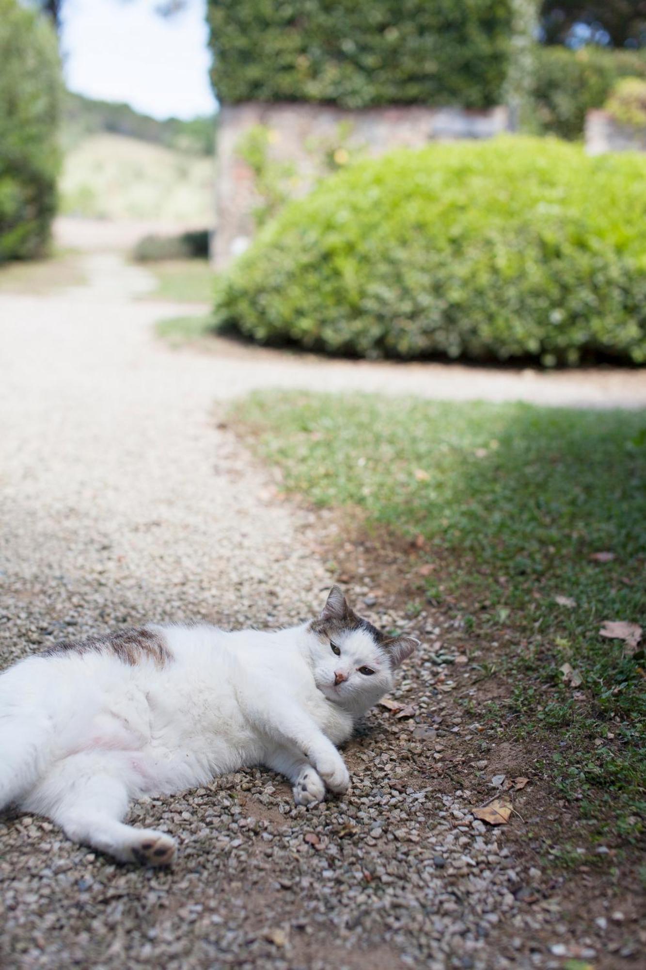 Agriturismo Bio Podere Doganelle Villa Giuncarico ภายนอก รูปภาพ